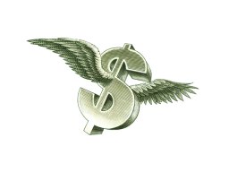 Flying Dollar art color 